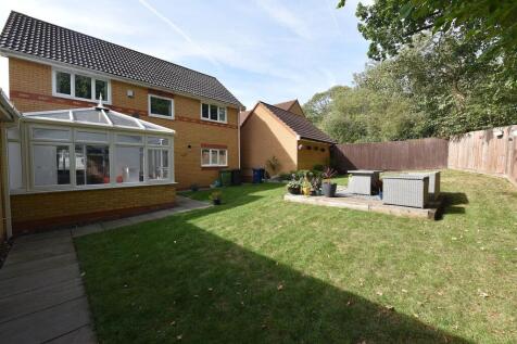 Property Image 17