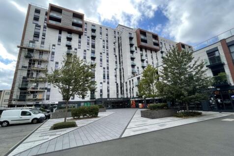 IMG 0287 Jpg (Medium) T202409171537.jpg