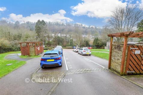 Driveway/Parking