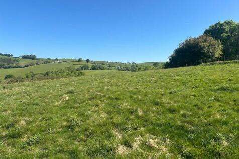 WhatsApp Image 2025-06-12 at 11.32.56.jpeg