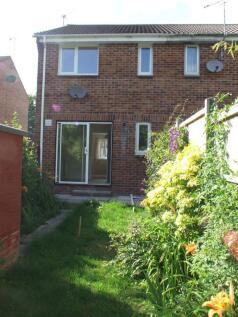 Back Garden
