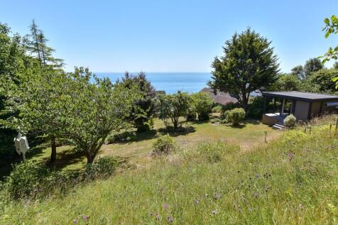 Lifestyle Photograph*