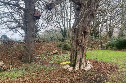 WhatsApp Image 20...