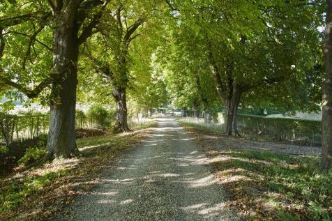 Property Image 68