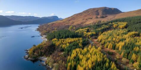 Loch Carron views