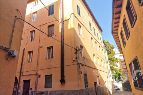 corte paoli -1.jpg