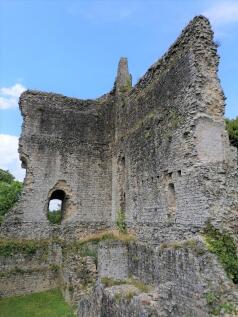 Domfront castle 