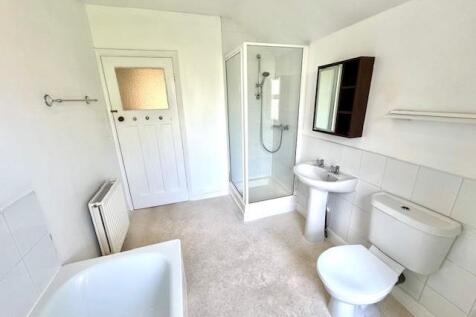 Large Bath/Shower Room