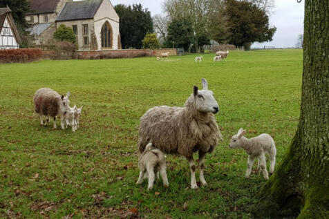 Ladbroke Village
