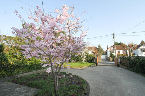 Front drive and garden