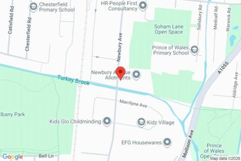 Google Maps Image