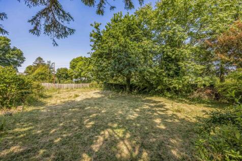 20240628125303357_original [1060309245].jpg