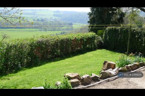 Shared Garden