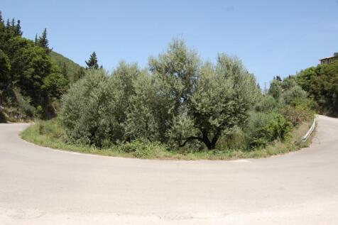 Road border property