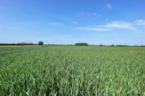 Land for sale Image 8