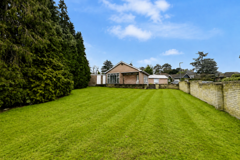 15reargarden