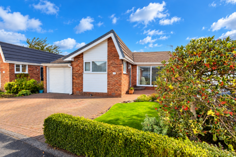 Sunny Suburban Bungalow with Red Berries.png