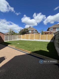Back Garden