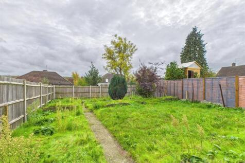 Back garden .jpg