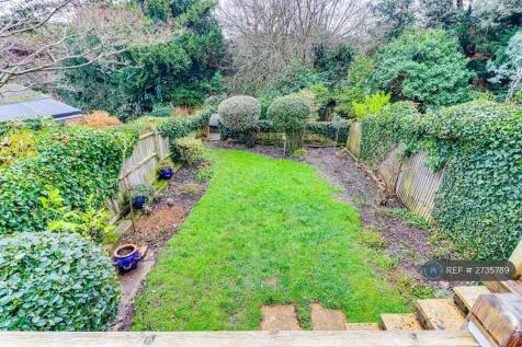 Back Garden