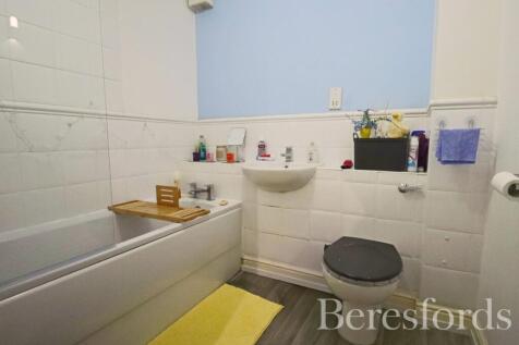 Picture 11