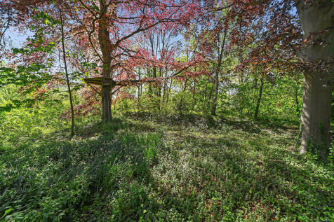 Property Image 52
