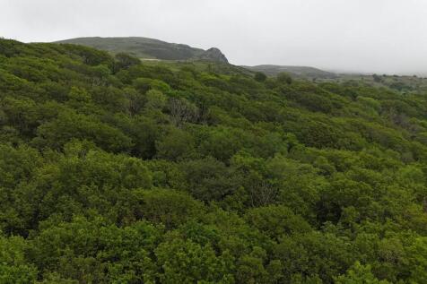 DJI_20260522144641_0038_D.JPG