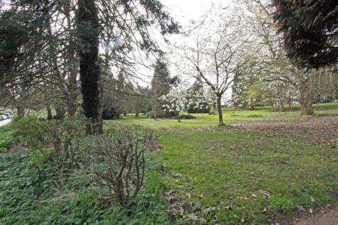 IMG_8244 park.jpg