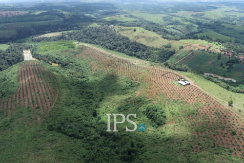60 Ha Agricultural Land For Sale - Ou Reang District, Mondulkiri Province