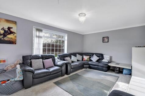 IMG_2995_13_origi...