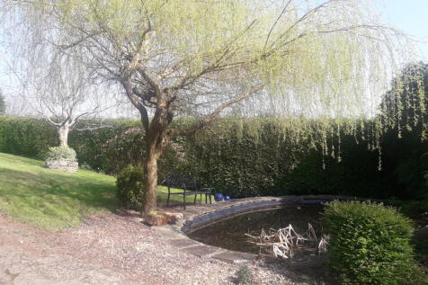 Property Image 11