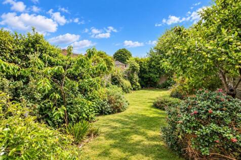 garden.jpg
