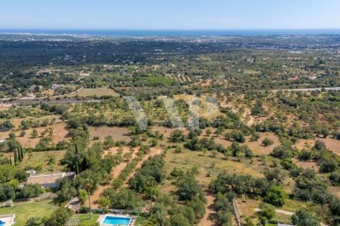 Property Image 66