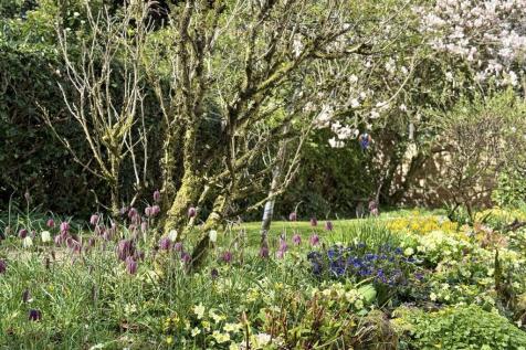 Pretty Front Gardens