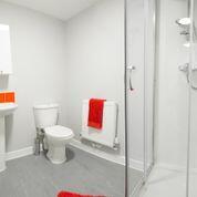 TriangleWestShowerRo