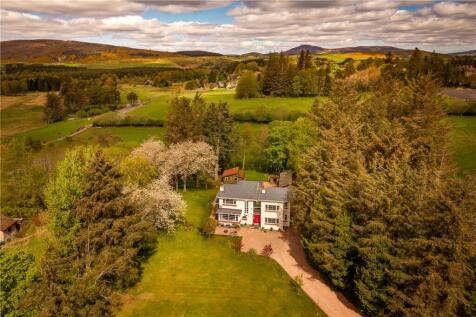 Drone View