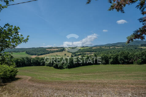 Panorama e Particolari