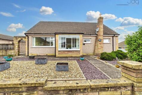 Welcome to Ashfield Avenue