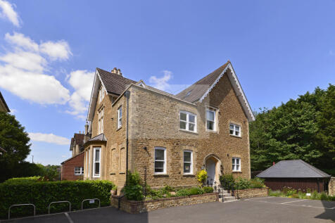 Robuck - new front.JPG