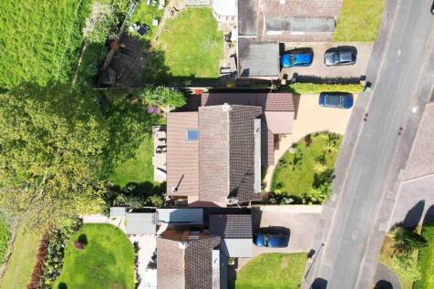 Birds Eye