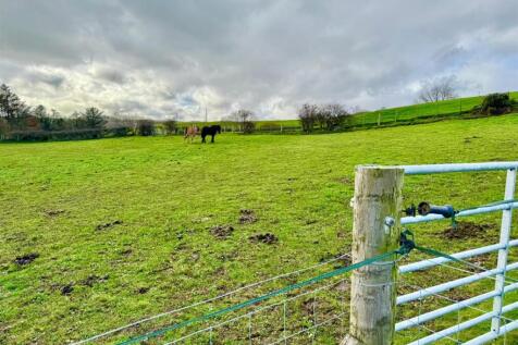 PHOTO-2025-11-06-09-07-28 (5).jpg