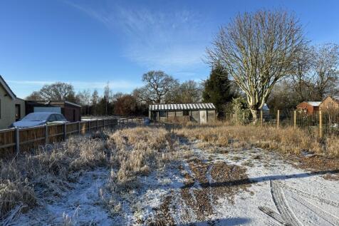 IMG 2137 T202601061625.jpg