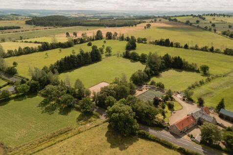 Property Image 39