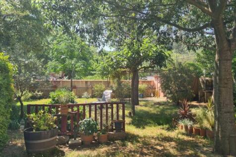 jardin 1