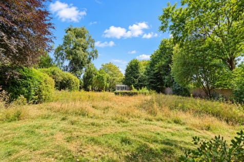 Generated image_ Serene Summer Garden with Greenho