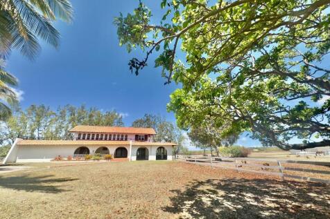 Topaz Estate
