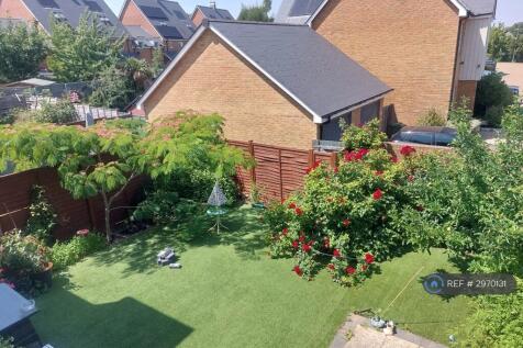 Back Garden 