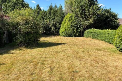 The Rear Garden