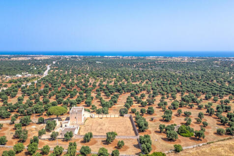62_MASSERIA ALBERO DOLCE_puglia_raro_realty