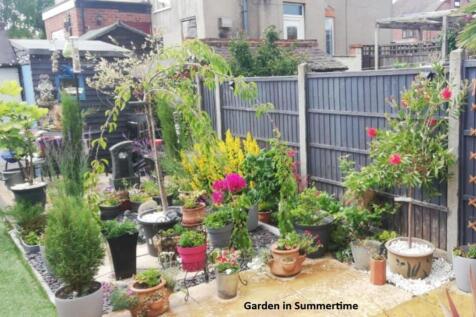Rear Garden Summer 2025